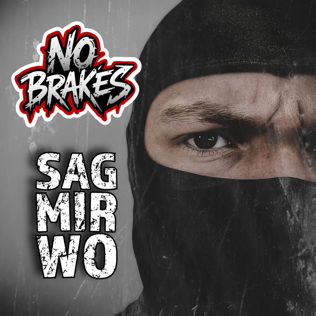 Sag mir wo cover