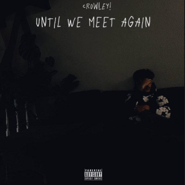 Until We Meet Again cover art