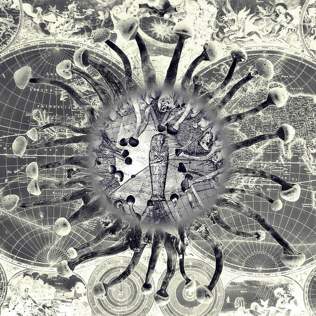 1214 cover