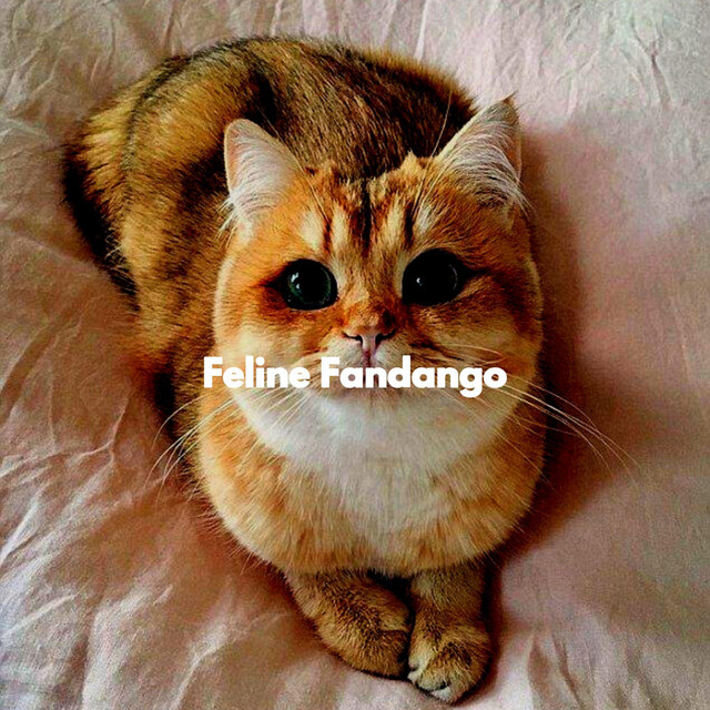 Deluxe Music for Quiet Cat ‑ 曲・歌詞：Cat Music | Spotify