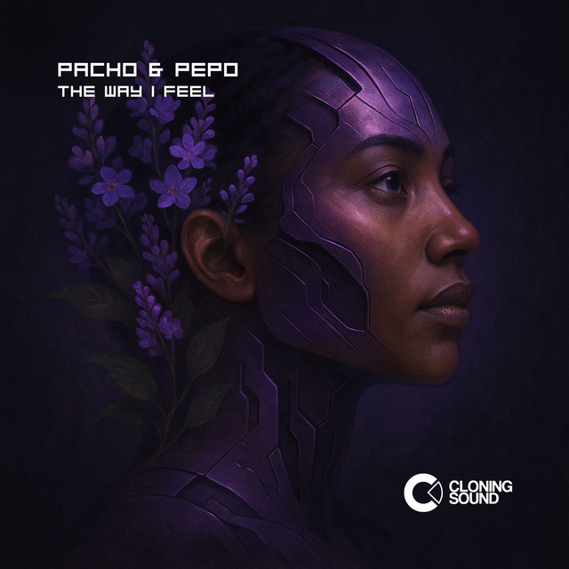 The Way I Feel - Extended Mix album art
