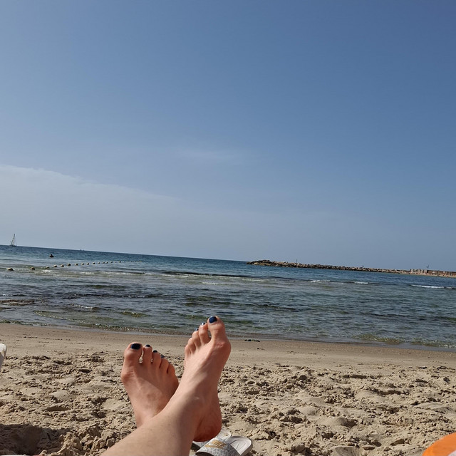 איילה גסקו