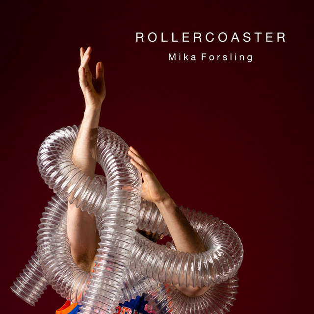 Rollercoaster cover art