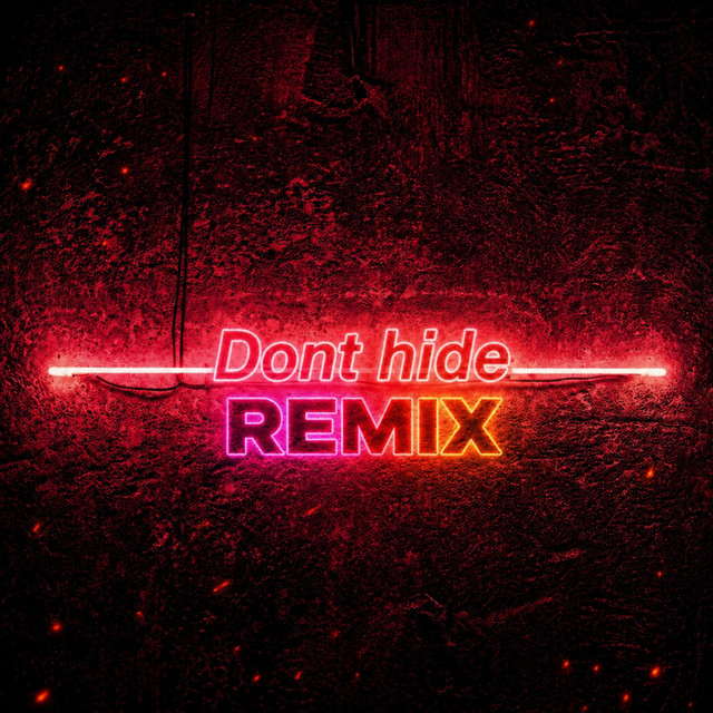 Don't Hide - Remix