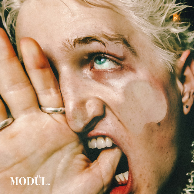 MODÜL. VA 001 cover art