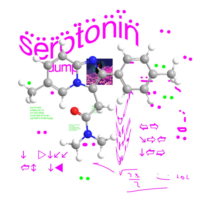 serotonin dump cover art