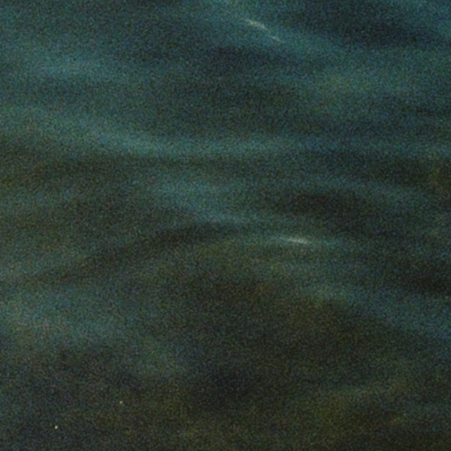Cygnus by 253