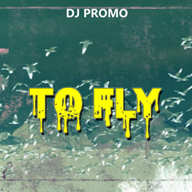 To Fly cover art