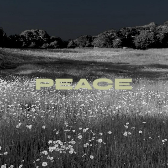 PEACE cover art