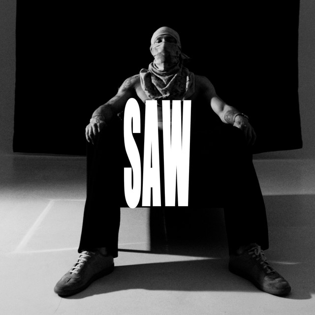 Saw cover