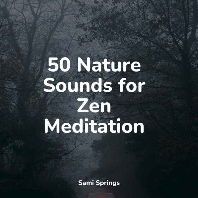 50 Nature Sounds for Zen Meditation - Album by Meditation Music Club ...