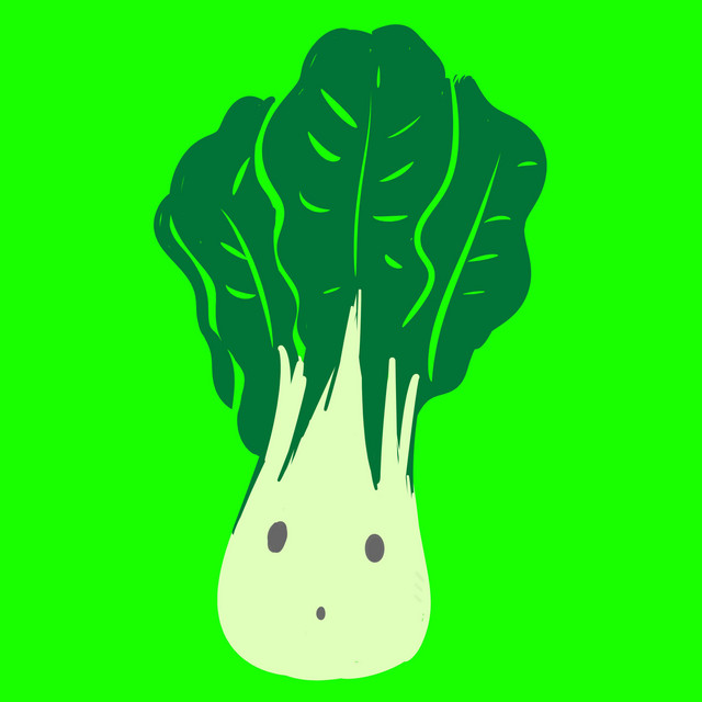 Chin-Gen-Sai vs Shin Ren Sai