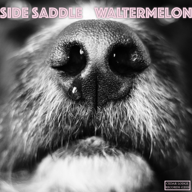Waltermelon - EP cover