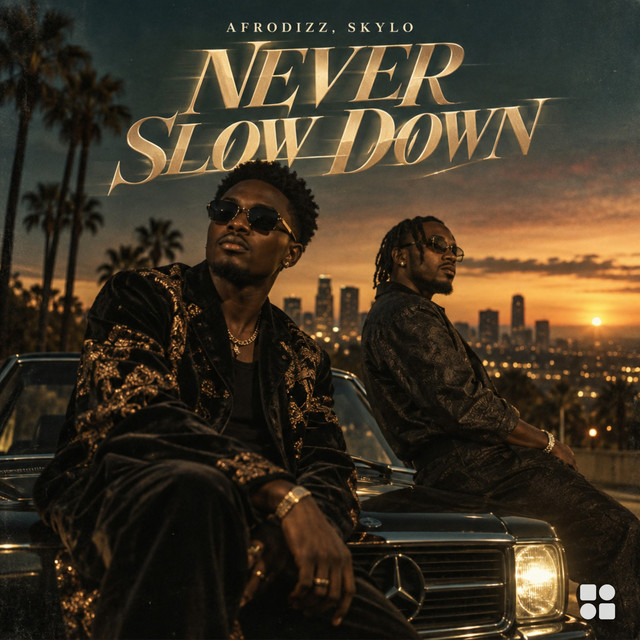 Never Slow Down cover