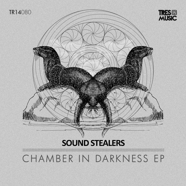 Chamber in Darkness cover art