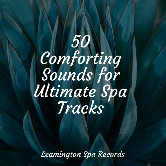 50 Comforting Sounds for Ultimate Spa Tracks - Album by Relaxing Spa ...