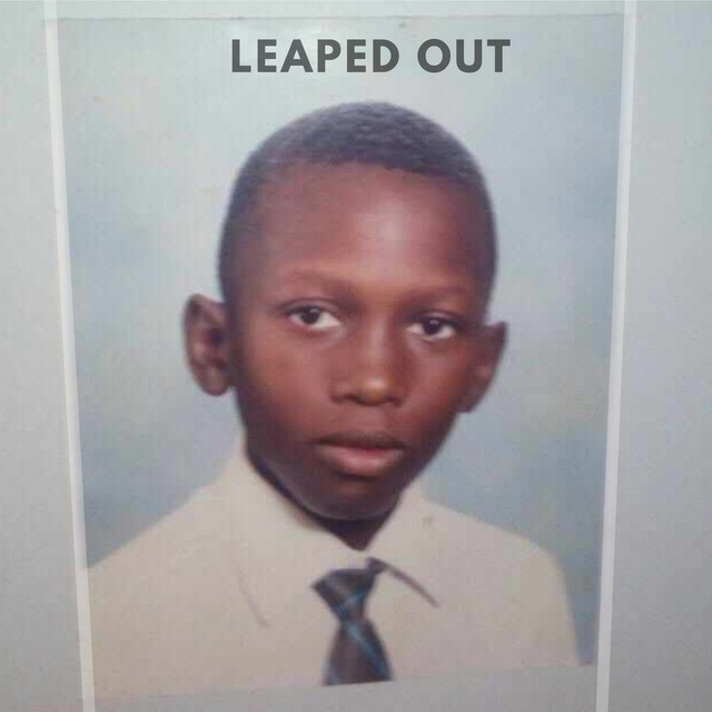 Leaped Out cover art