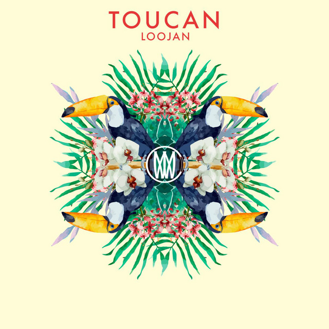 Toucan cover art