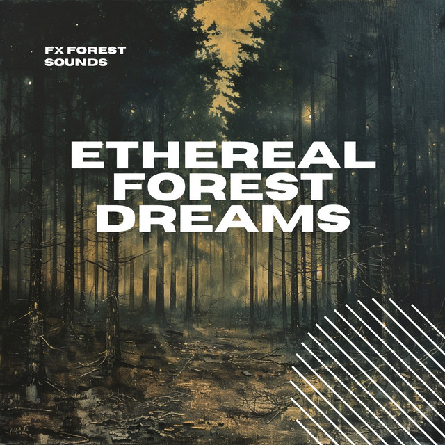 FX Forest Sounds