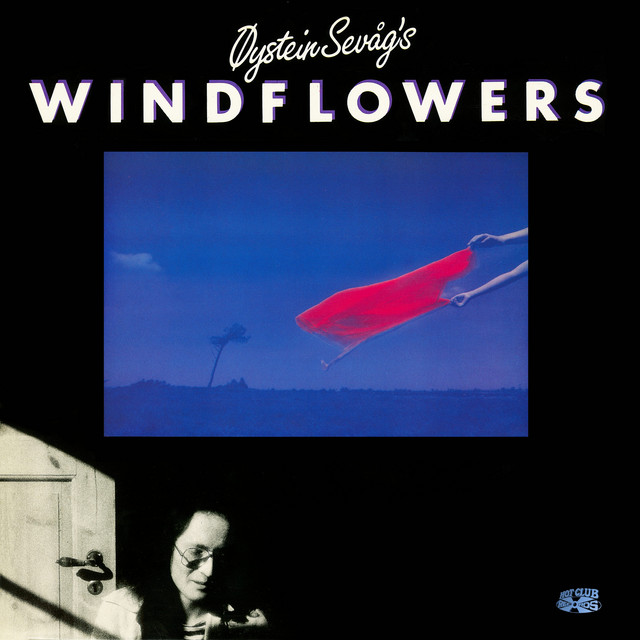 Windflowers