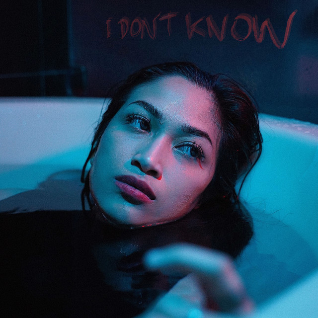 I Don't Know cover art