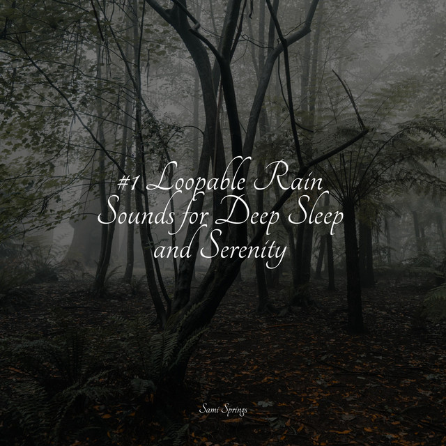 #1 Loopable Rain Sounds for Deep Sleep and Serenity - Album by Massage ...