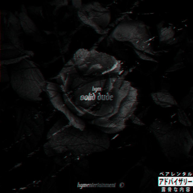 Solid Dude cover art
