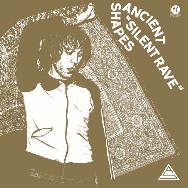 Silent Rave cover art