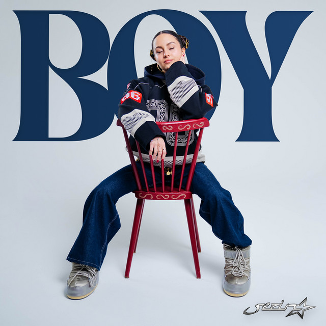 Boy cover art