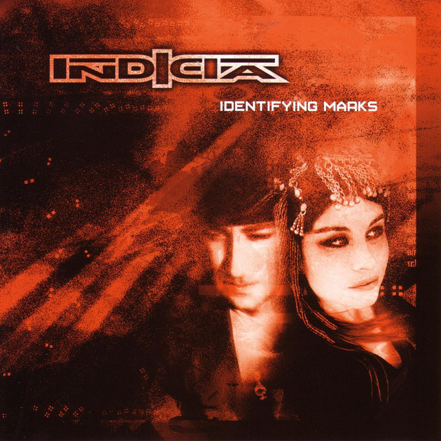Identifying Marks cover art