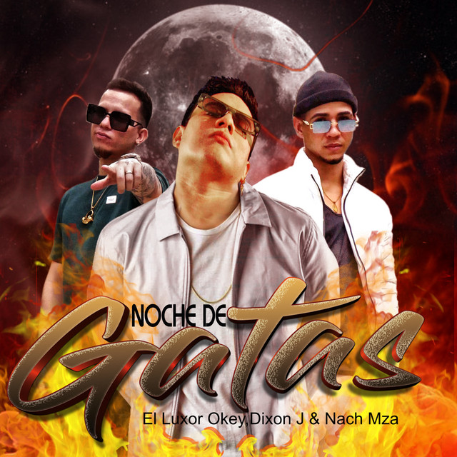 Noche de Gatas