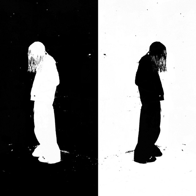 DISCIPLINED NARCISSISM cover art