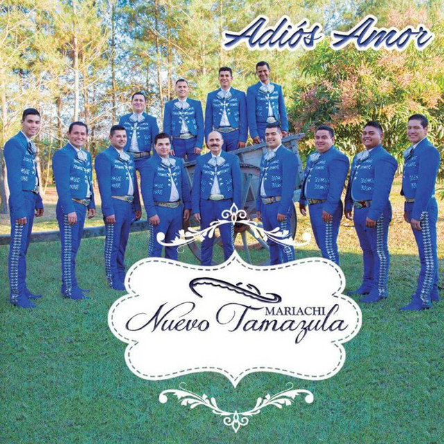 Adios Amor cover art