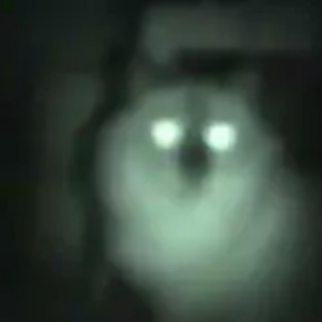 LIGHTS ON cover