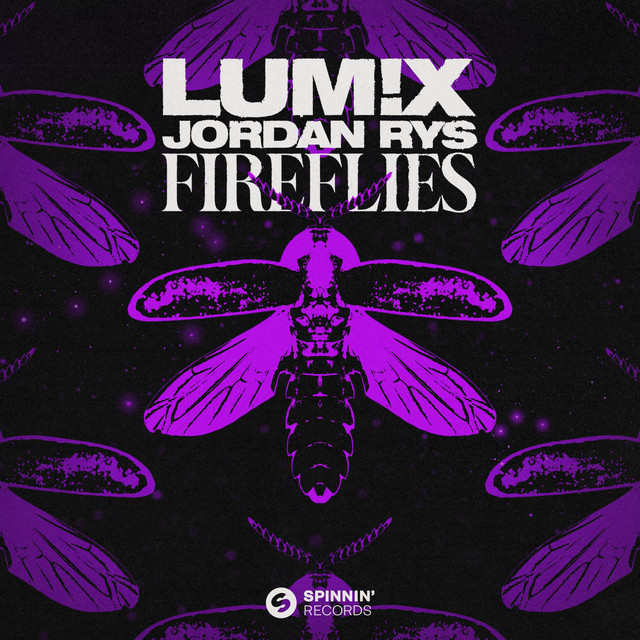 Fireflies - Extended Mix album art
