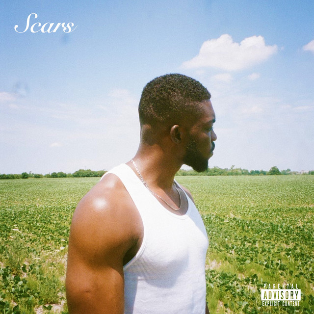 Scars cover art