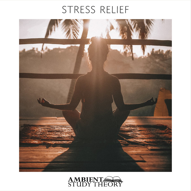Stress Relief cover art