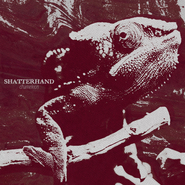 Chameleon cover art