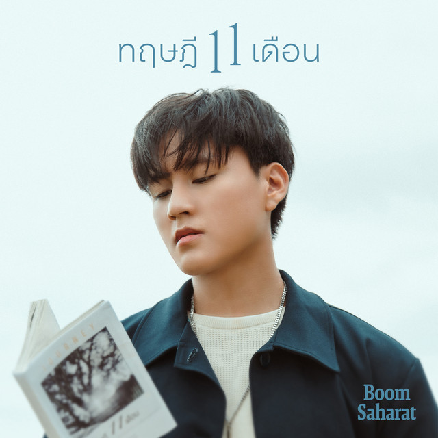 ทฤษฎี 11 เดือน (11 months) cover art