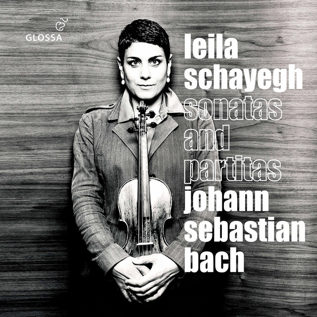Violin Partita No. 1 in B Minor, BWV 1002: I. Allemanda