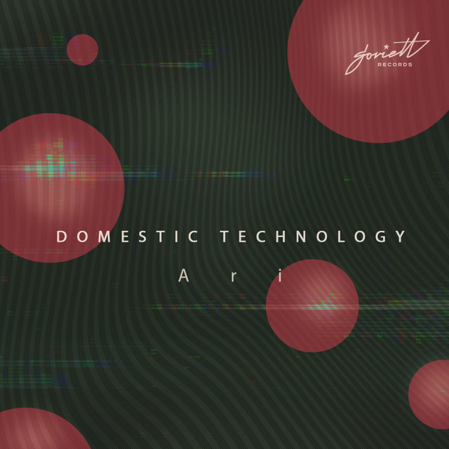 Ari - Diskette Remix cover art