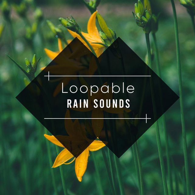19 Loopable Rain Nature Sounds cover art