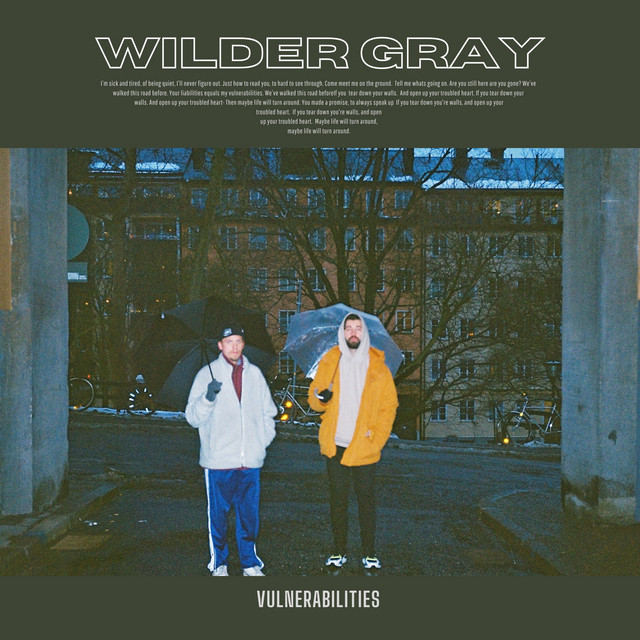 Vulnerabilities cover art