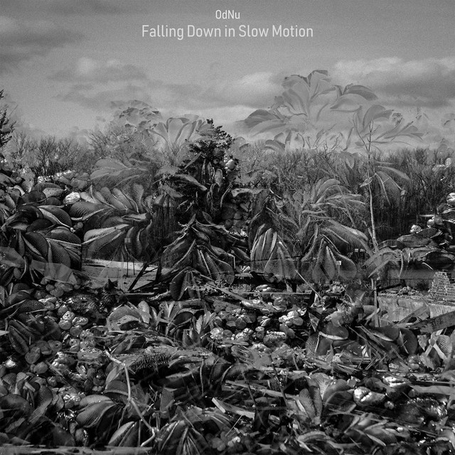 Falling Down in Slow Motion cover art