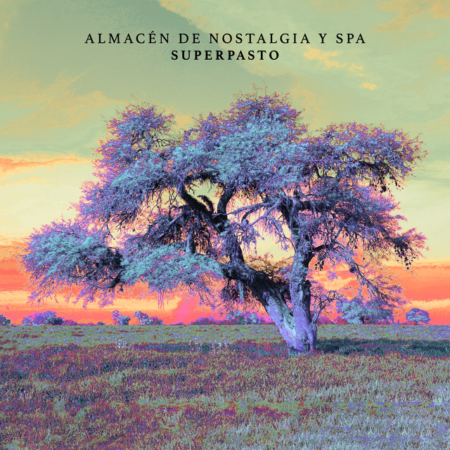Almacén de Nostalgia y Spa cover art