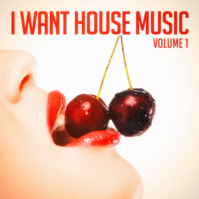 I Want House Music, Vol. 1 cover art
