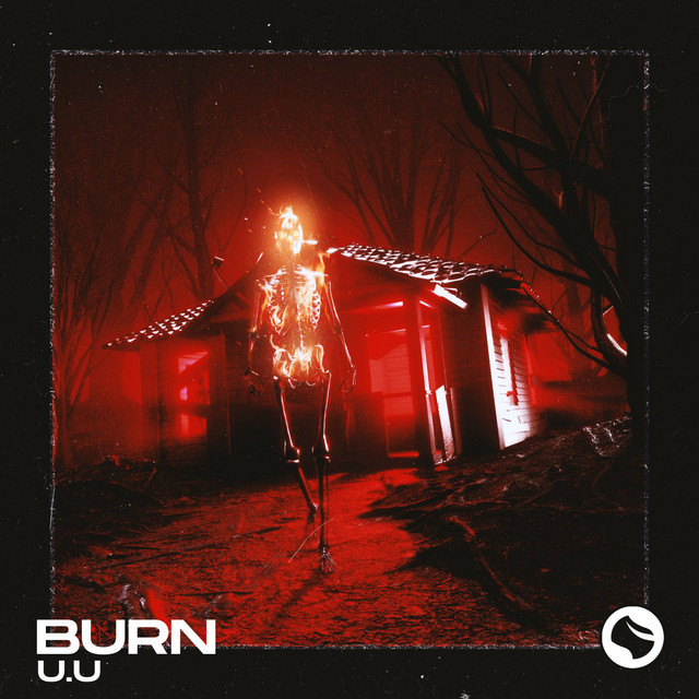 Burn cover art