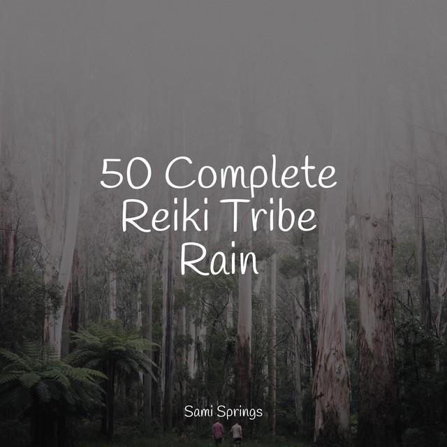 50 Meditation Rain Sounds - Album by Sonidos de lluvia para dormir ...