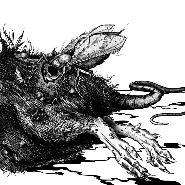 Зачеркни моё имя cover art