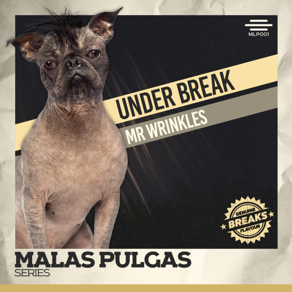 Mr. Wrinkles - Old School Mix album art